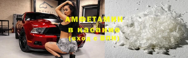 сатива Алексеевка