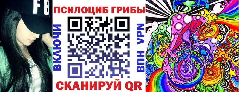 закладки  kraken ТОР  Псилоцибиновые грибы Psilocybe  Петровск 